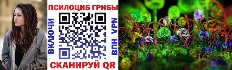 Псилоцибиновые грибы Cubensis  Шенкурск 